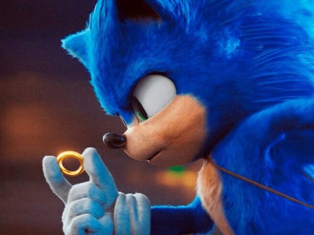 Sonic the hedgehog