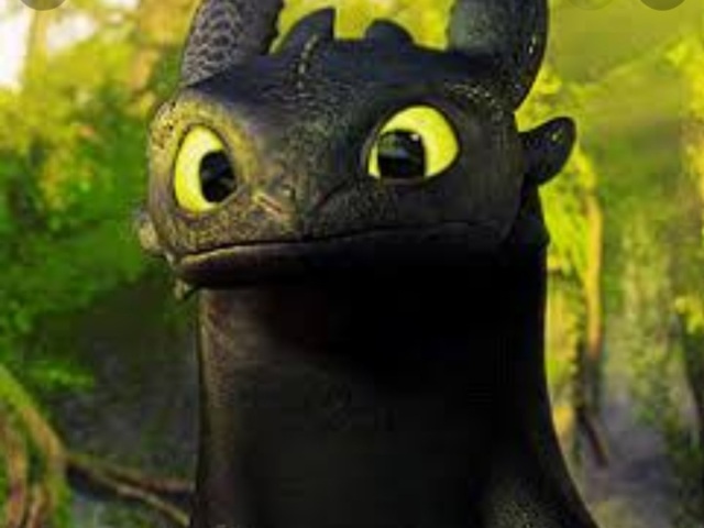 Fúria da noite