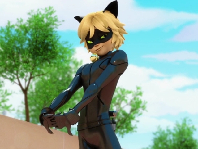 Cat noir