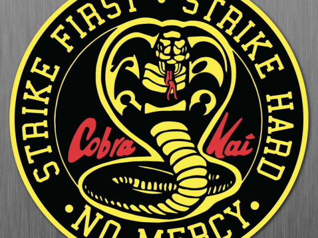 Cobra kai