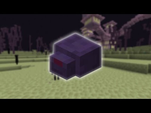 endermites sem levar dano para elas