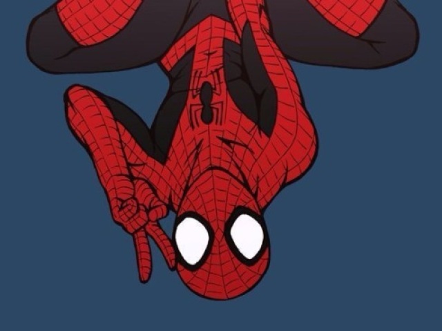 Homem aranha