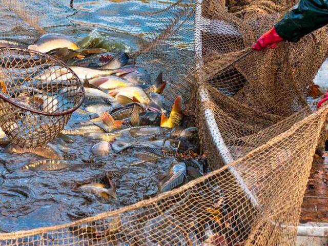 A prática da caça e pesca.