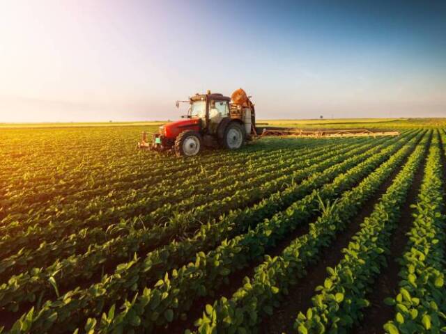 A prática da agricultura.