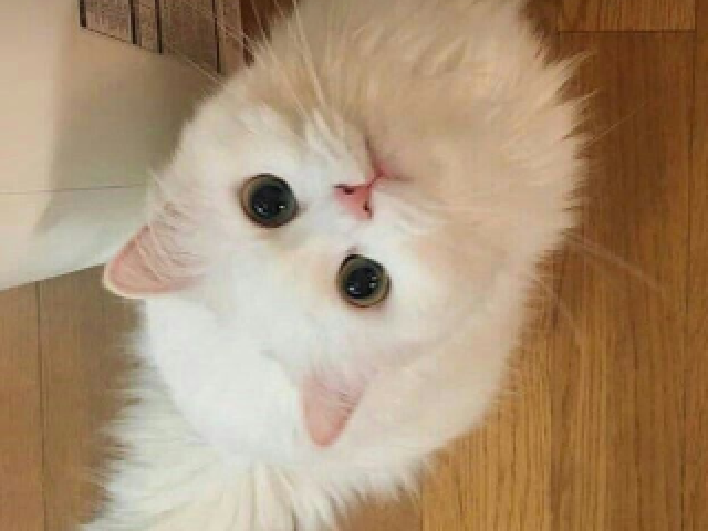 ๐๐ ๐๐บ๐๐๐๐๐ ๐ท
