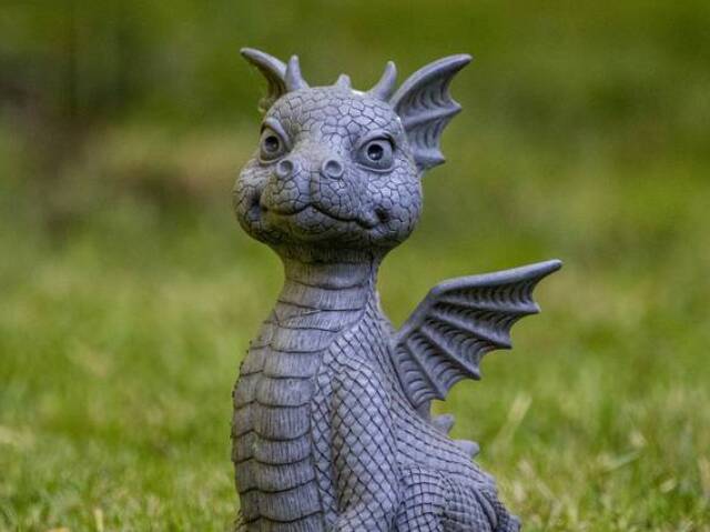 Dragão 🐉