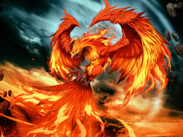 Fênix 🔥
