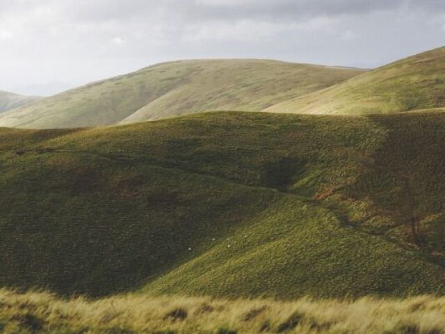 Terra 🌏 (Capricórnio, Touro, Virgem)