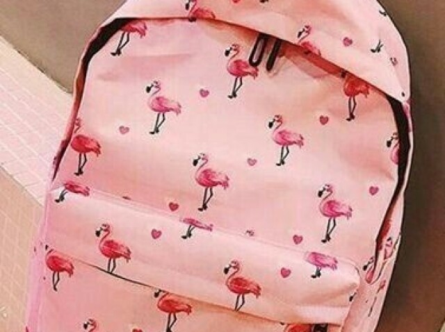 flamingos!