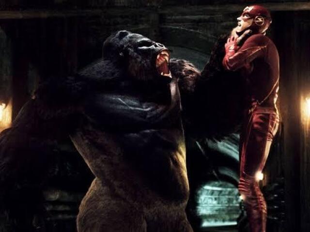 Você é o Gorila grodd!