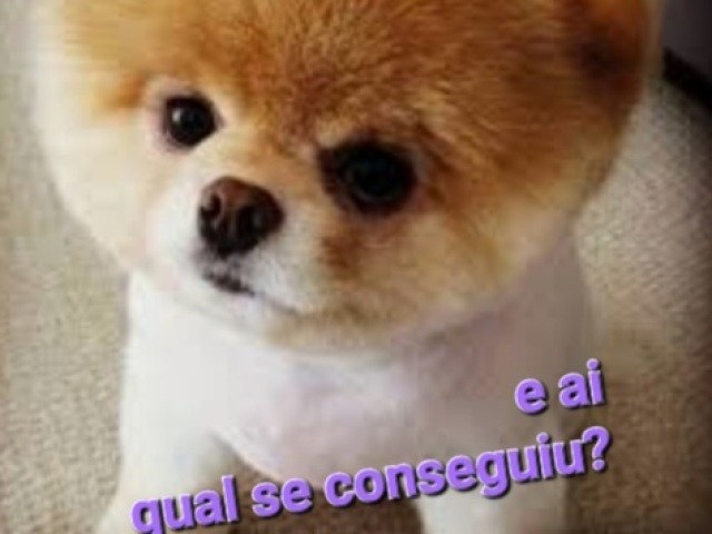 Veja se conseguiu