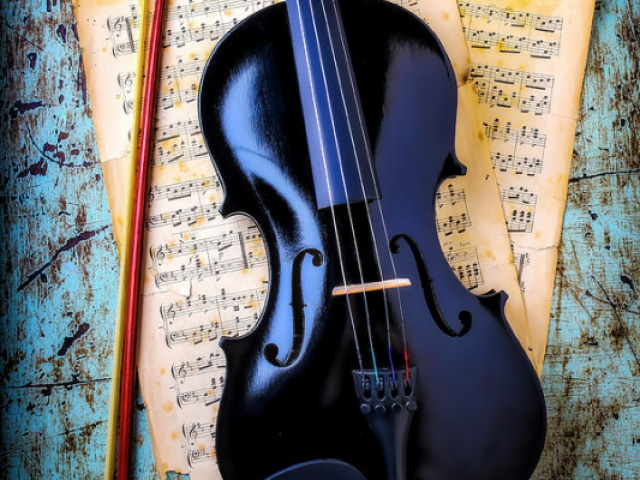 Violino