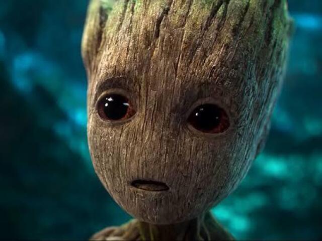 Groot