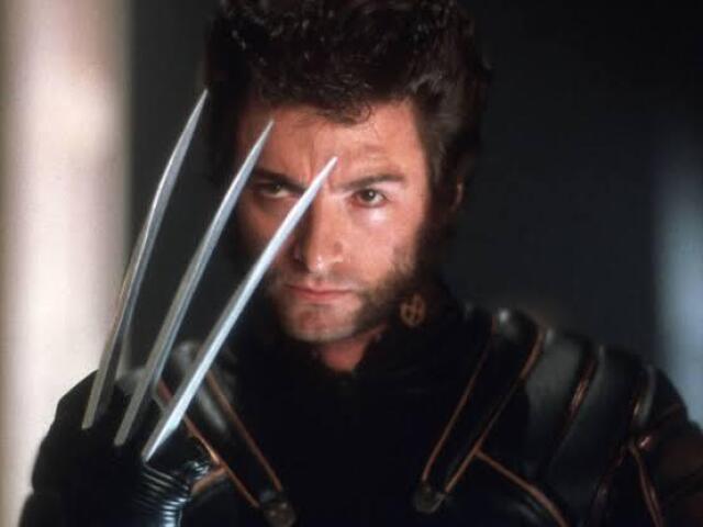 Wolverine B)