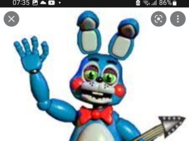 Toy bonnie