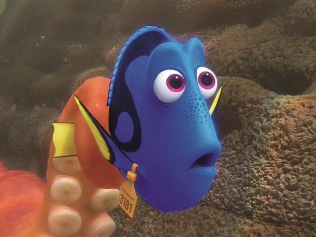 dory