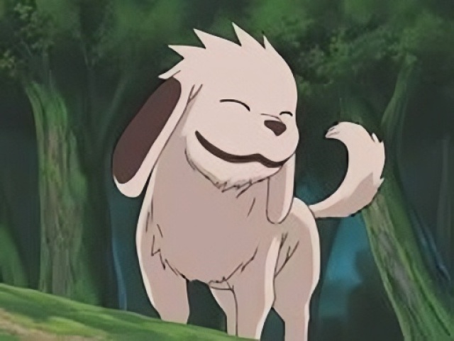 Akamaru (Cachorro)