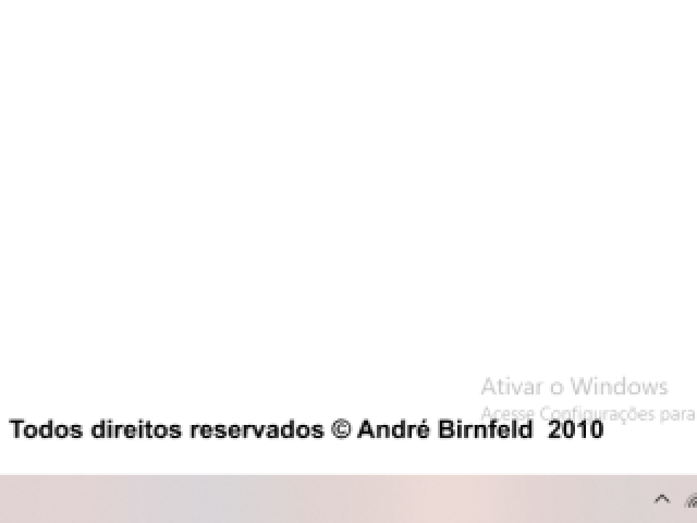 todos direitos reservados andré birnfeld 2010