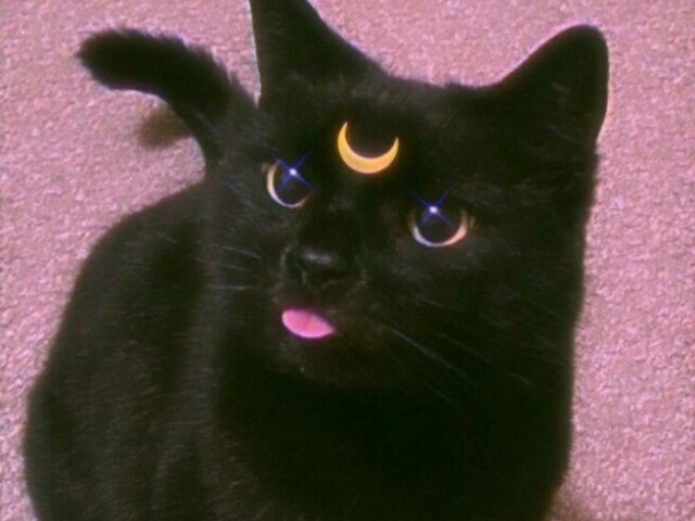 ๐๐