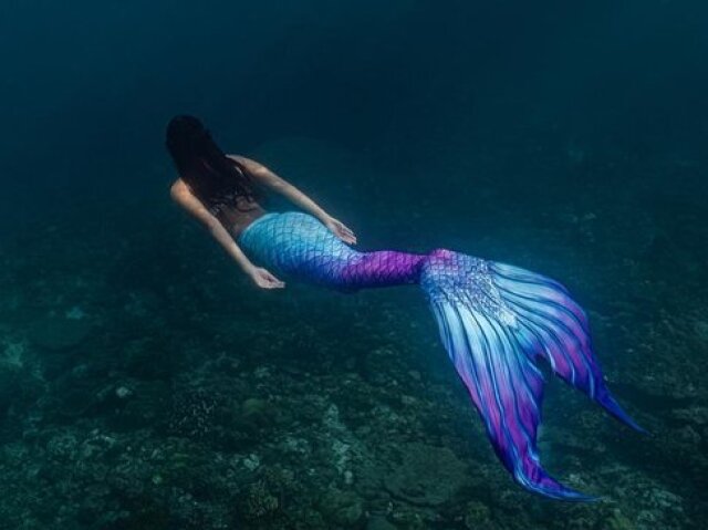 Sereia Aventureira