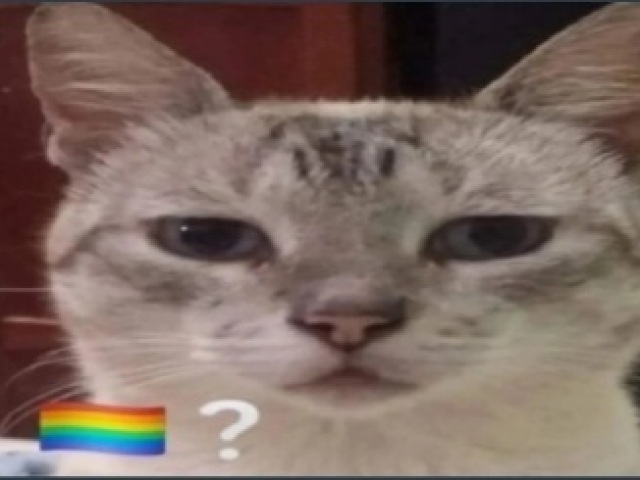 🏳️🌈❓️