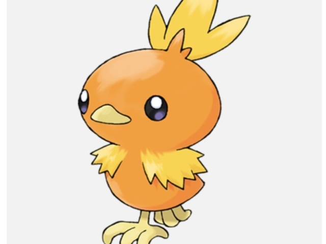 Torchic