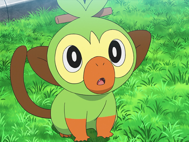 Grookey