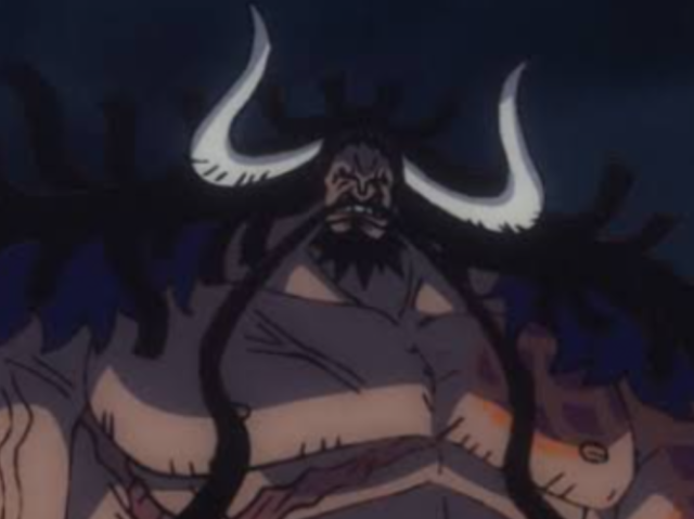 Kaido o rei das feras