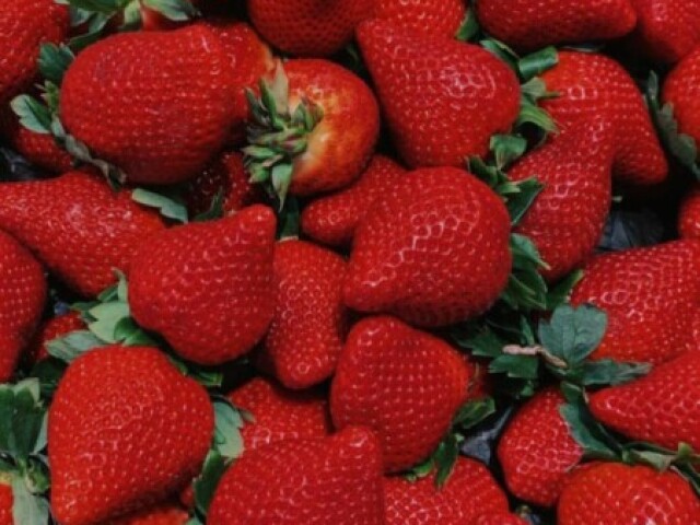 🍓Morango 🍓