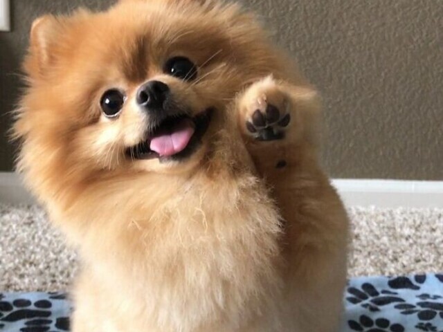 Vida perfeita💖💕