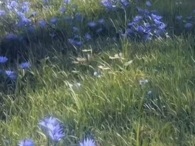 Flores
