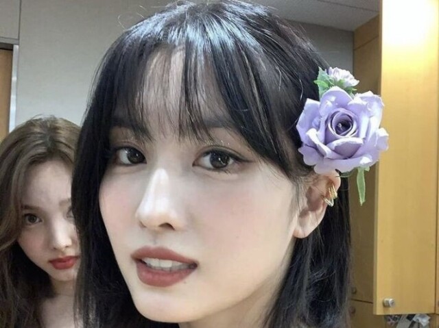 Momo