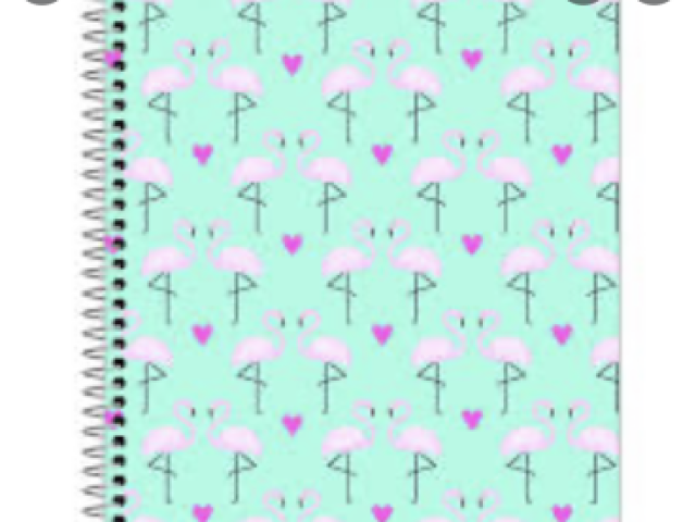 Flamingos