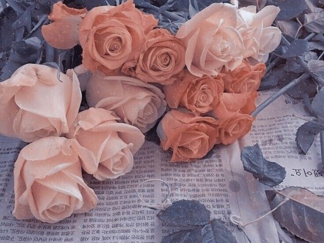 »•» 🌸 𝐈𝐂𝐎𝐍 #1 <3 🌸 «•«