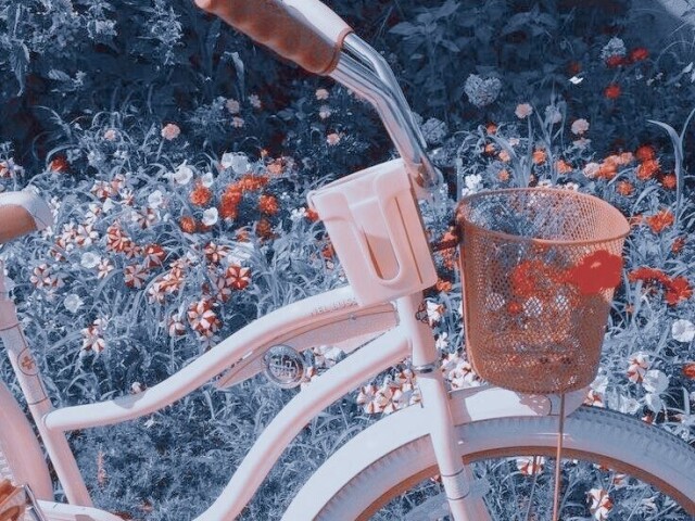 »•» 🌸 𝐈𝐂𝐎𝐍 #3 <3 🌸 «•«