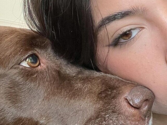 O que você seria da Charli!?