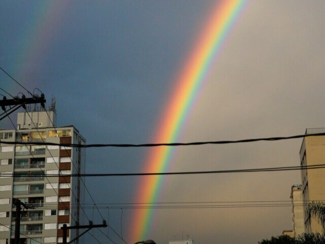 Todas🏳🌈