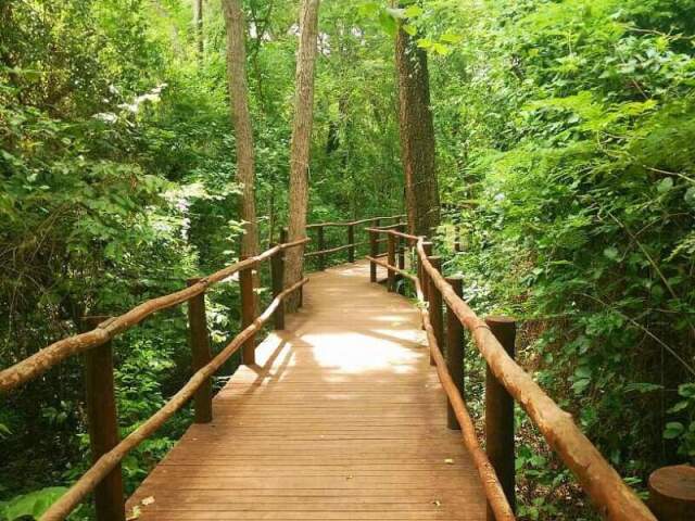 {🍃Caminhar no Parque🍃}