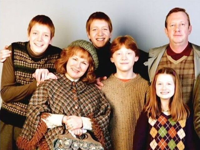 Rony, Fred, George, Percy, Carlinhos, Gina e gui