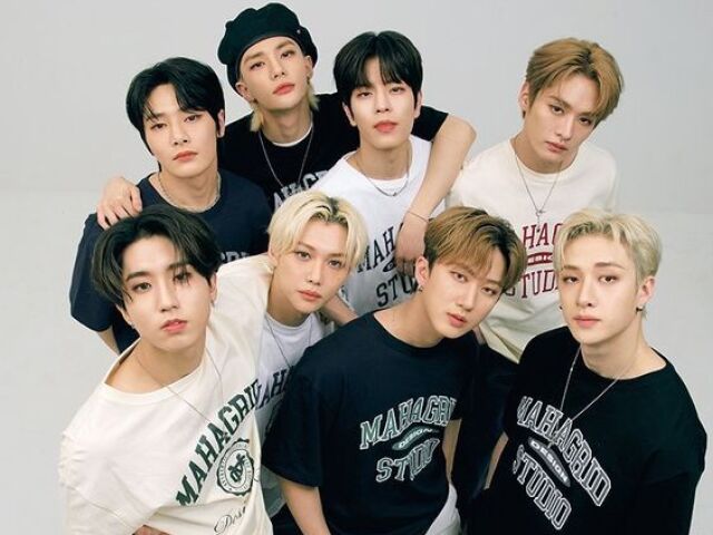 Seus gostos são mais parecidos com o Stray Kids♥