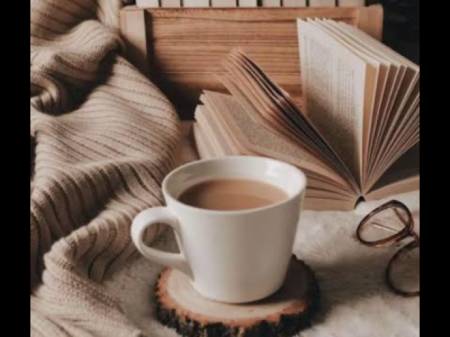 Fico no quarto tomando um café com leite e lendo um livro