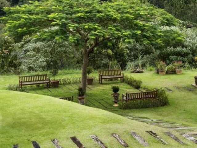 campo