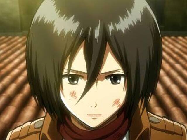 Mikasa