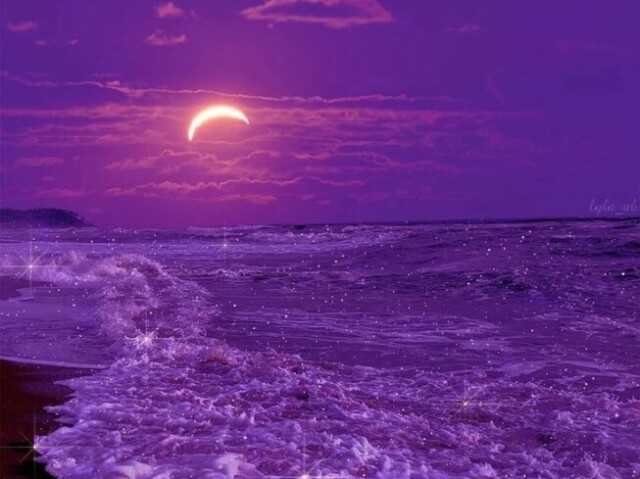 💜 roxo 💜