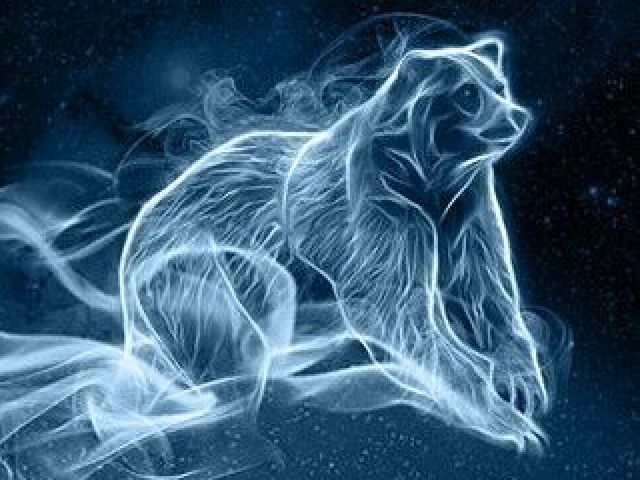 Urso Negro