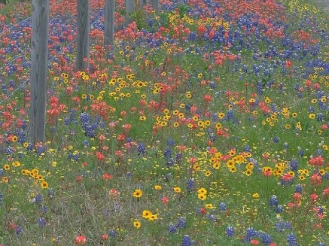 Estar em um ambiente florido