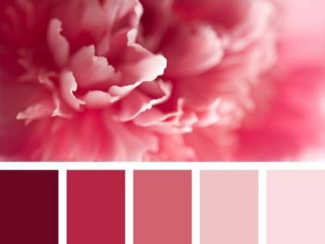 Rosa.