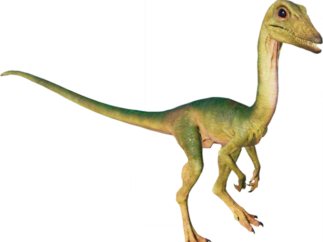 compsognathus