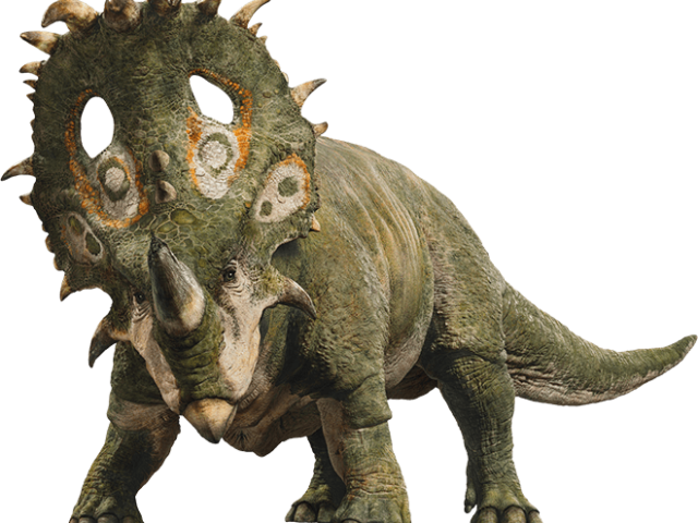 sinoceratops