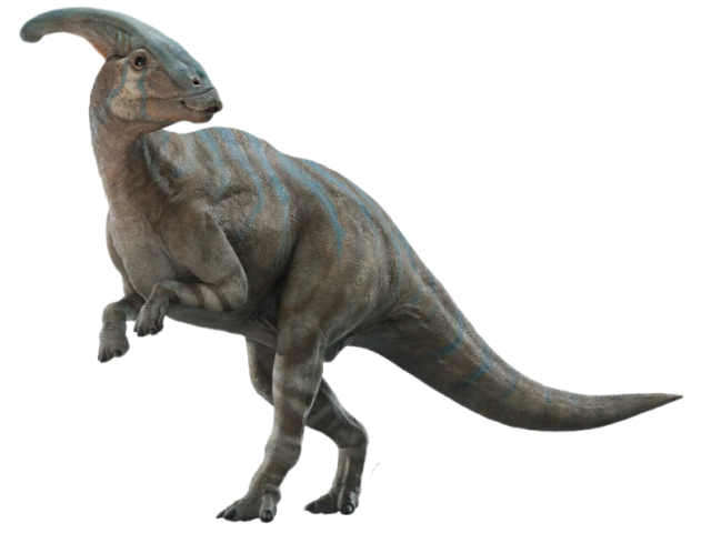 parasaurolophus